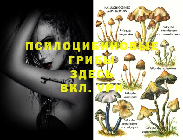 дурь Балабаново